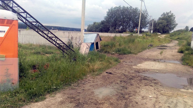 Пас плашио лопове